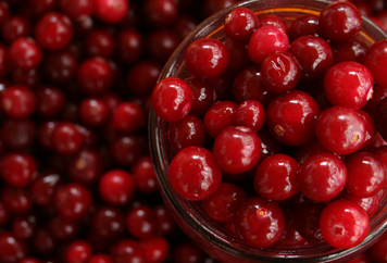 Cranberry (Schwangerschaft) – gut bei Blasenentzündung?