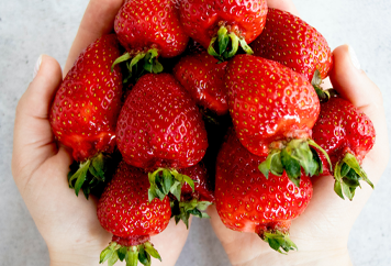 Erdbeeren (Schwangerschaft) – starker Vitamin C Lieferant