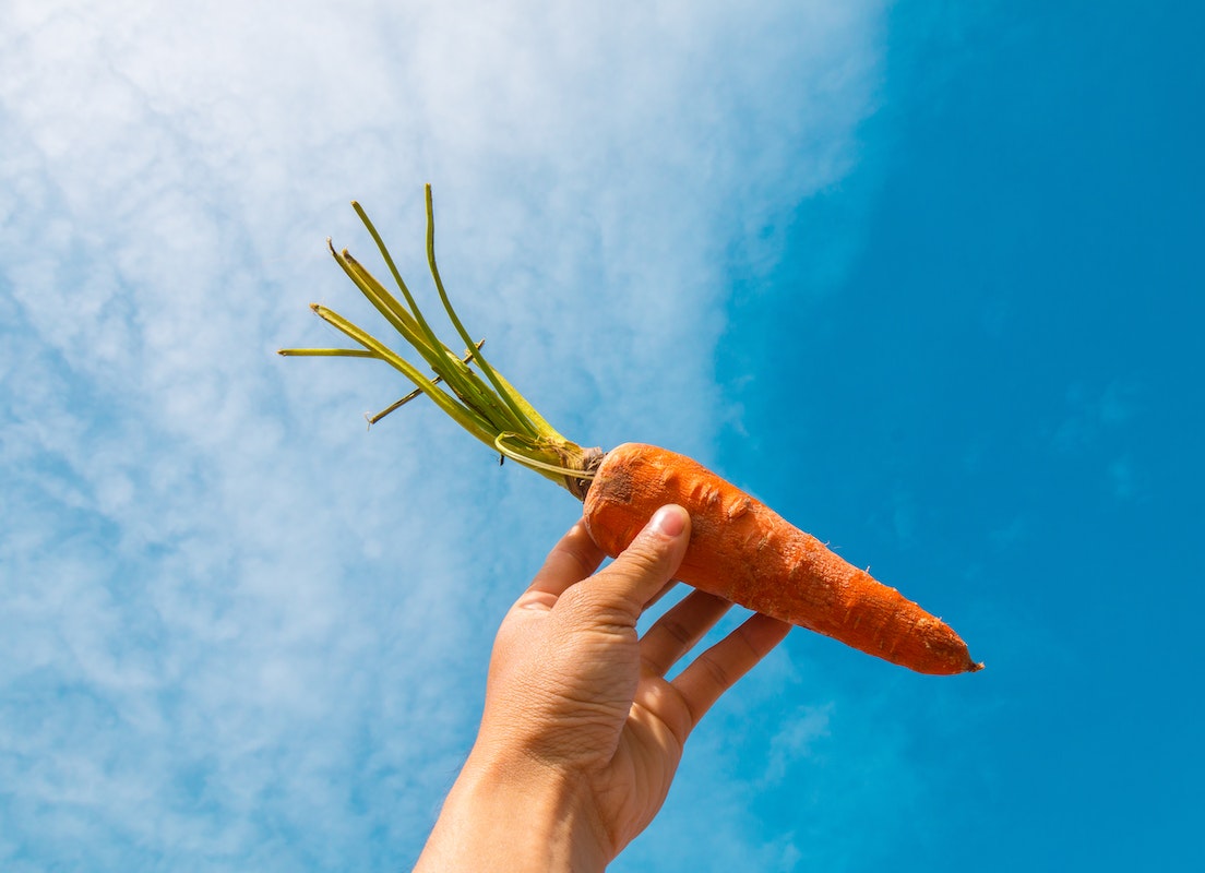 Karotten in der Schwangerschaft – so gesund sind sie für dich