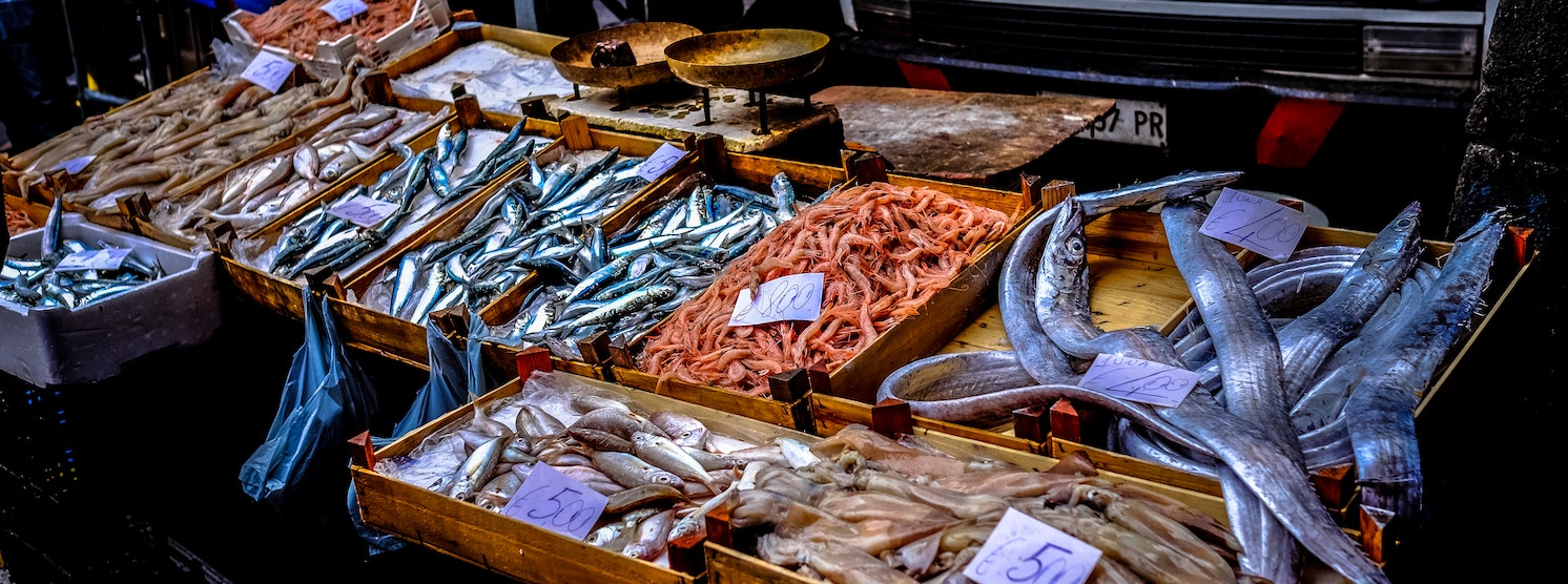 Fischmarkt mit verschiedenen Sorten