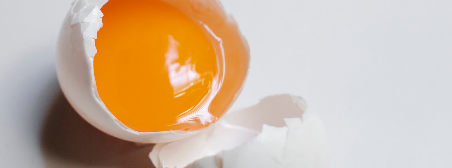 Offenes Ei mit rohem eigelb, das in der Schwangerschaft nicht gegessen werden sollte